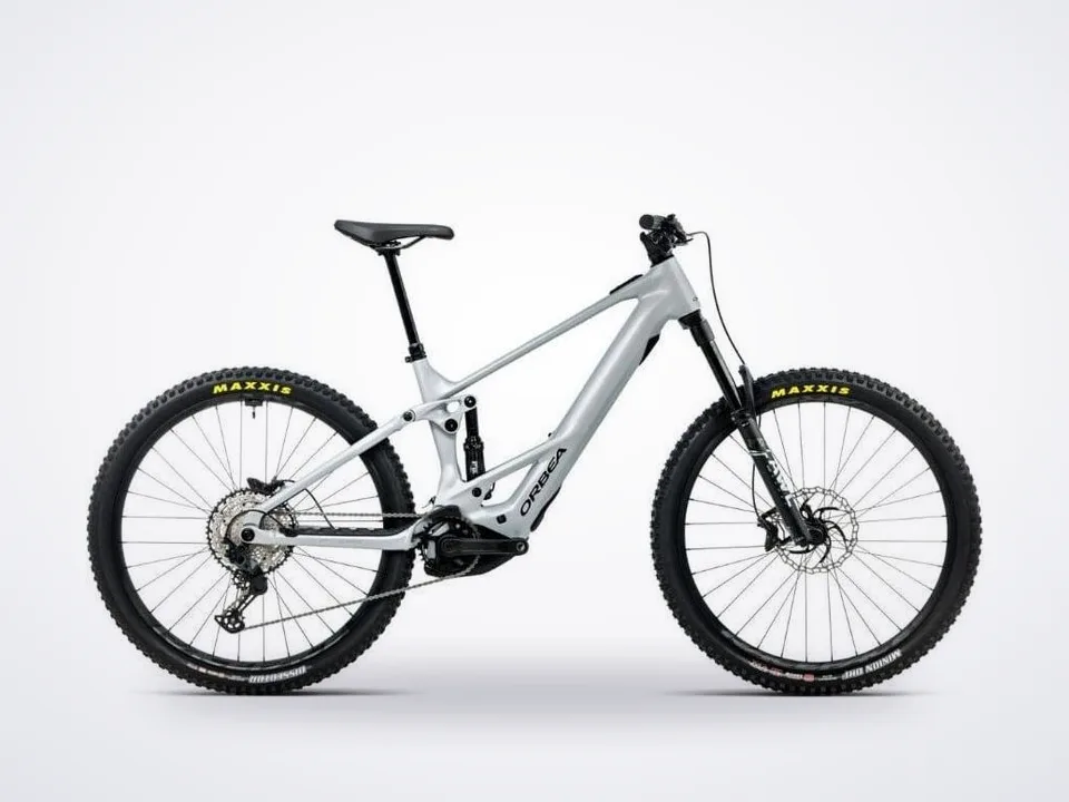 Orbea Wild ST H20 20MPH