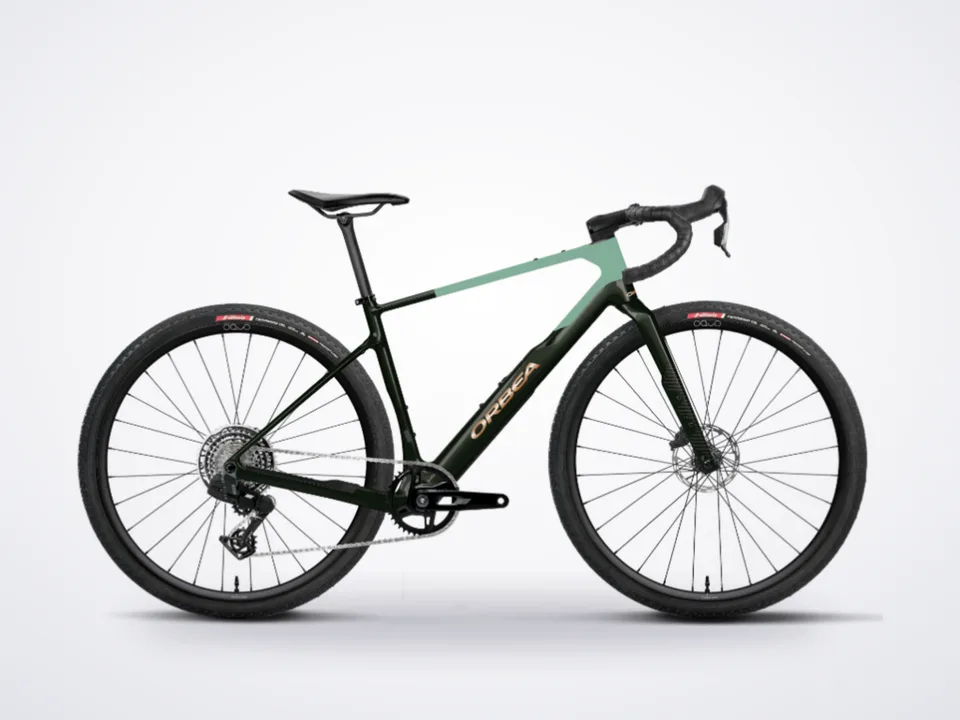 Orbea Terra M31eTEAM 1X L Custom