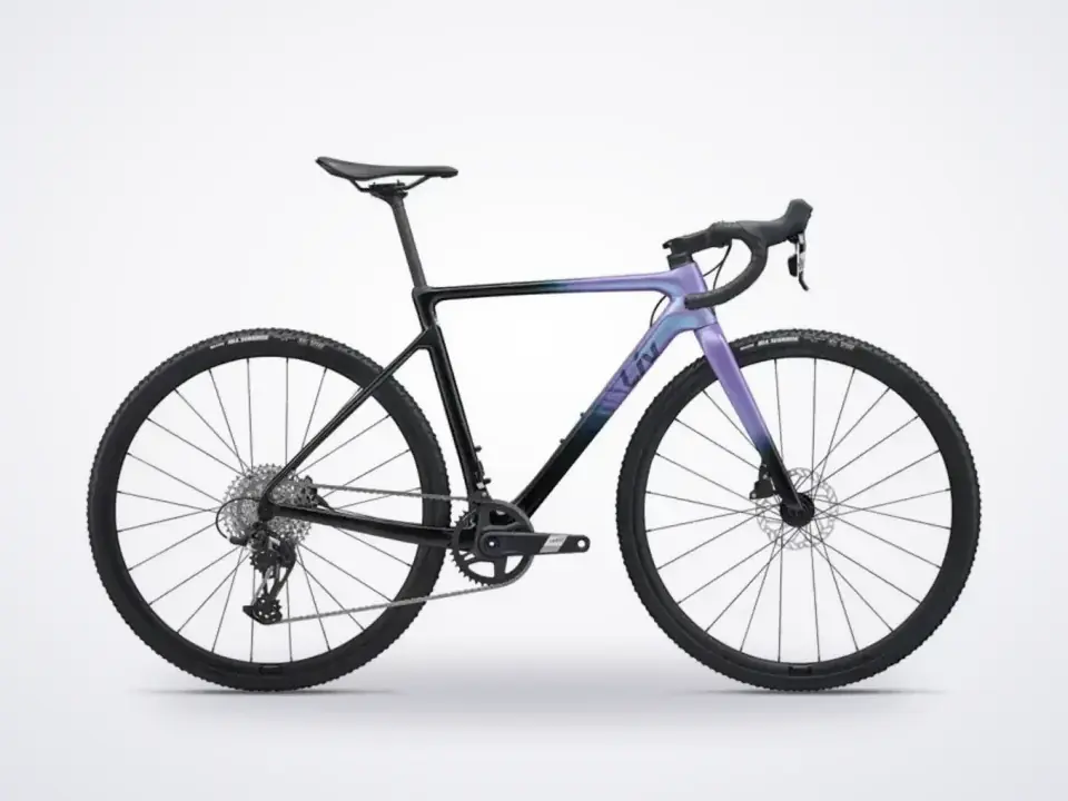 Liv Brava Advanced Pro 2