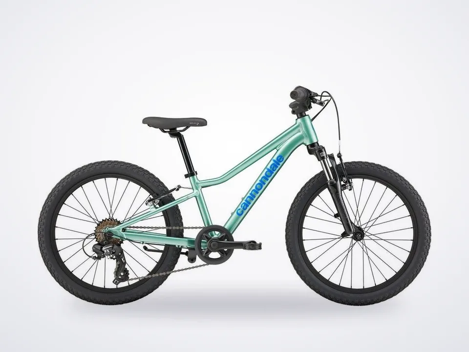 Cannondale Kid's Trail 20