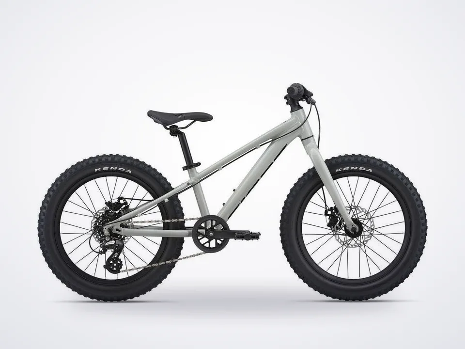 Giant STP 20
