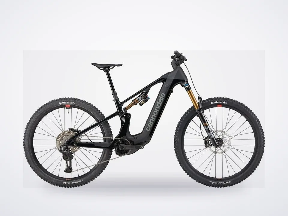 Cannondale Moterra 1