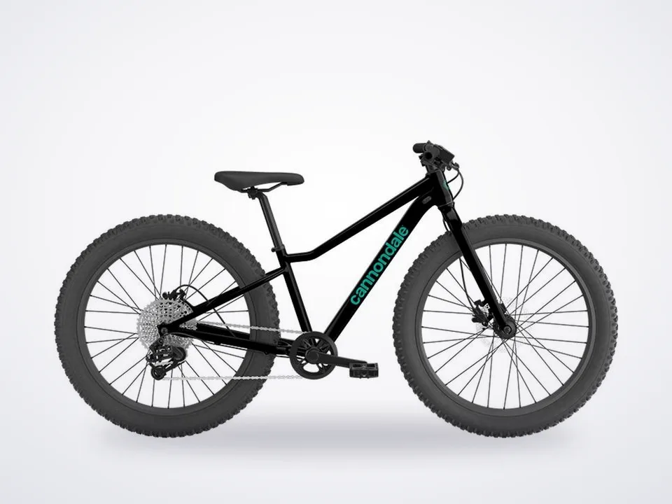 Cannondale Trail Plus 24