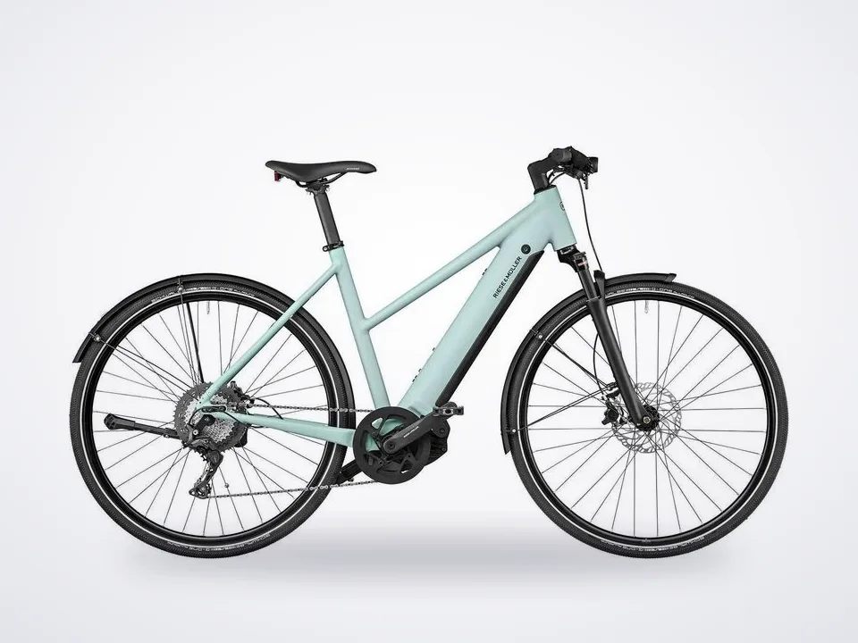 Riese & Müller Roadster4 Mixte