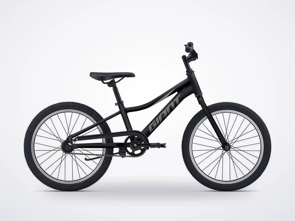 Giant XTC Jr 20 C/B
