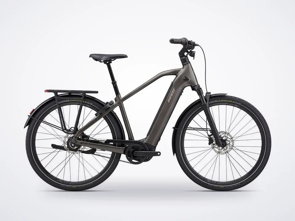 Giant AnyTour E+ 3