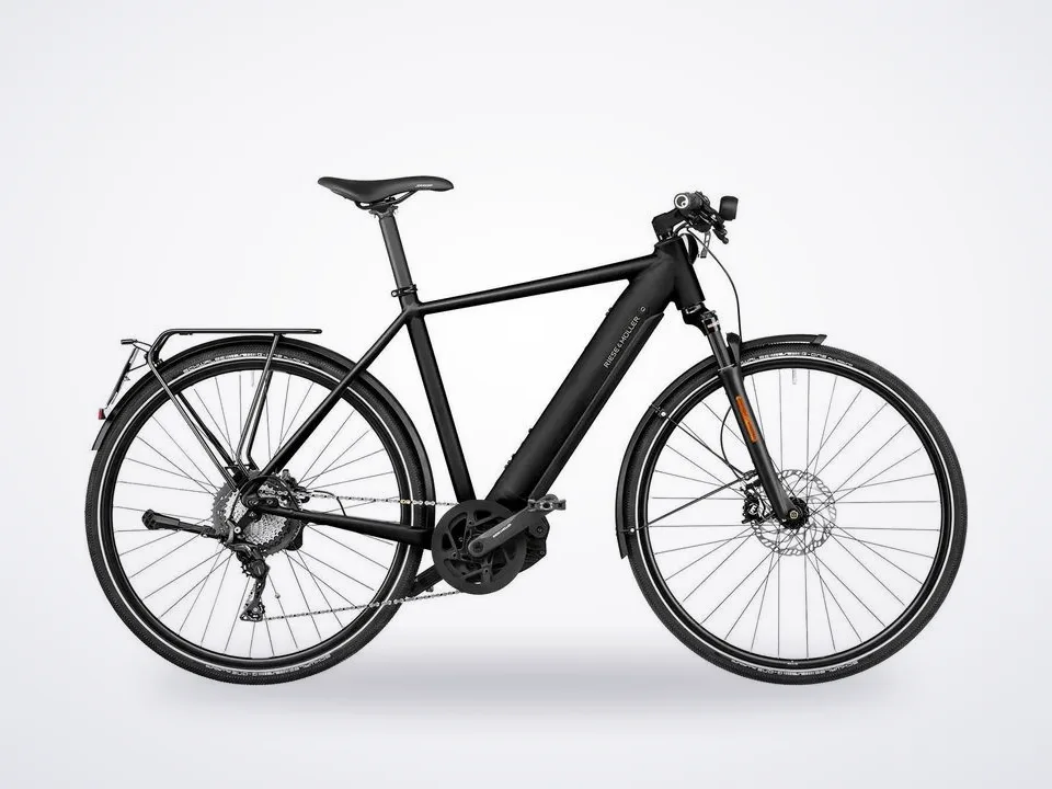 Riese & Müller Roadster4