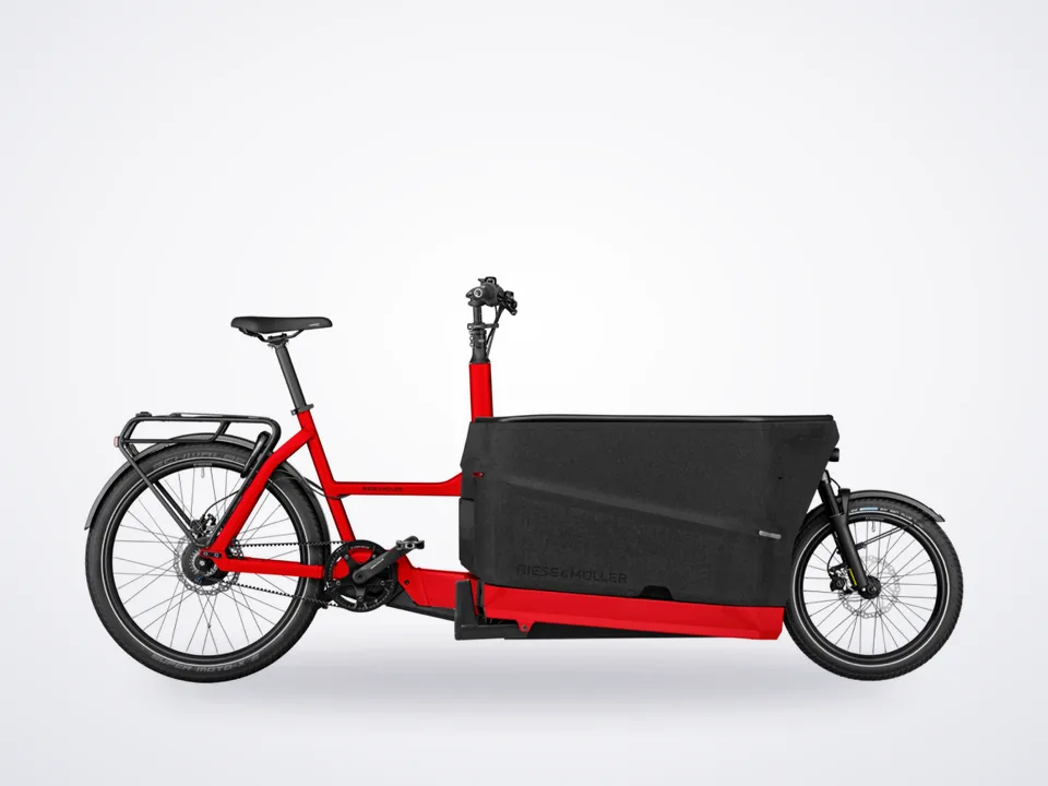 Riese & Müller Packster2 70