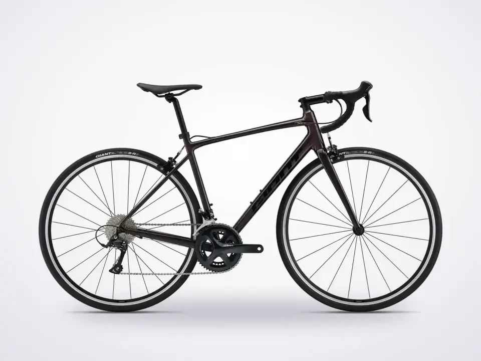 Giant Contend 1