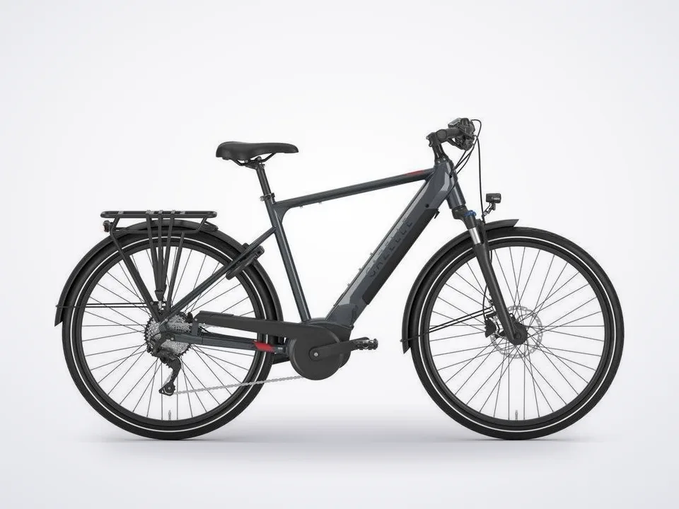 Gazelle Medeo T10 High-Step