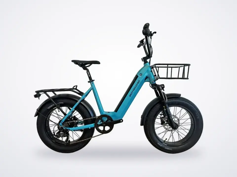 Bottecchia Fatty