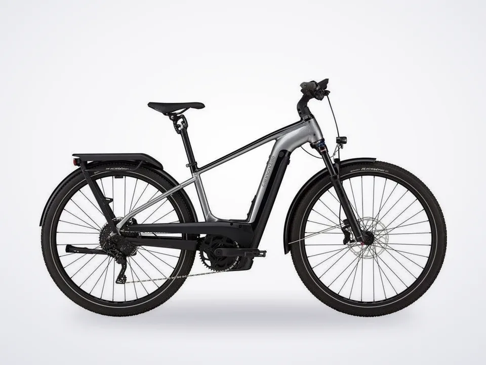 Cannondale Tesoro Neo X 1