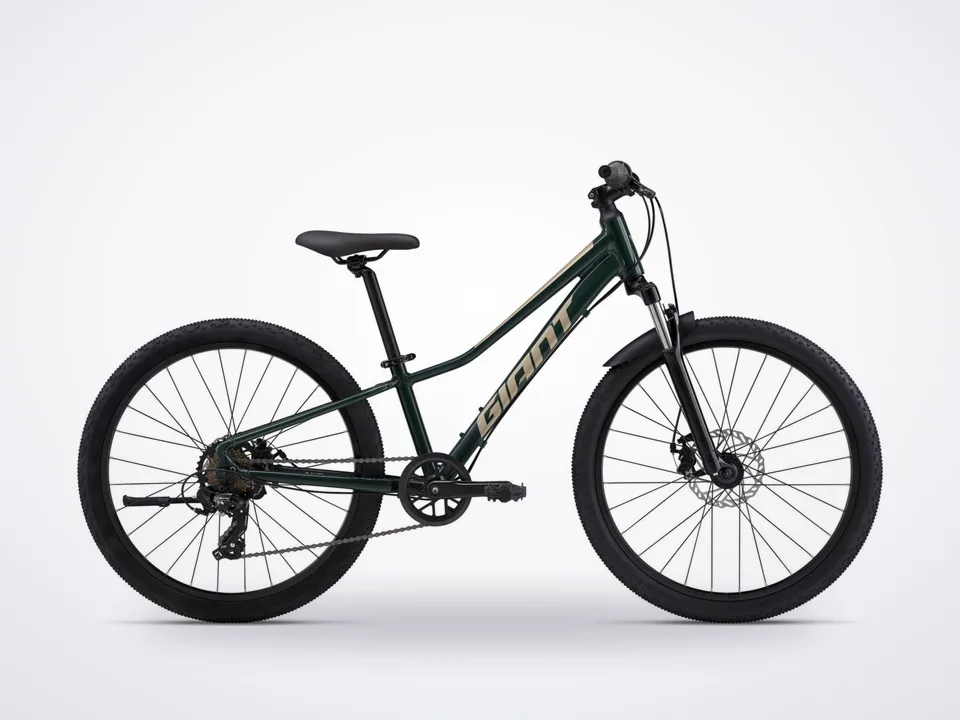 Giant Talon 24 Disc