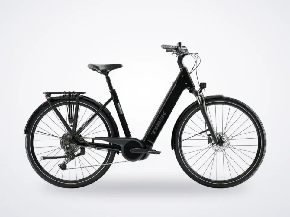 Trek District+ 4 R10 LS eHybrid