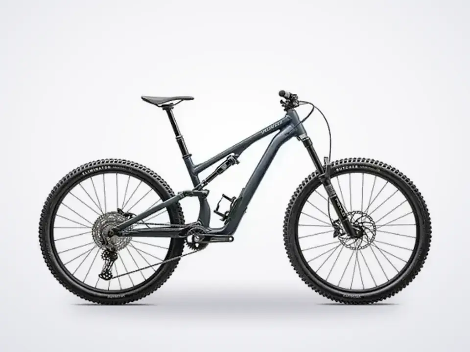 Specialized Stumpjumper 15