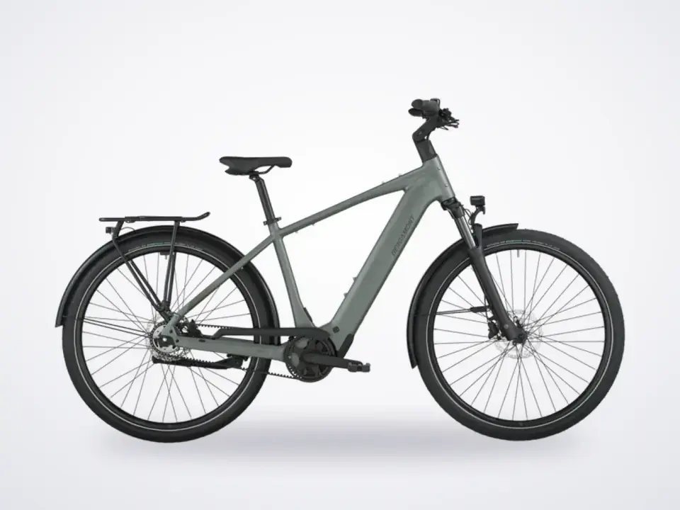Bergamont E-Horizon Tour 30 Belt