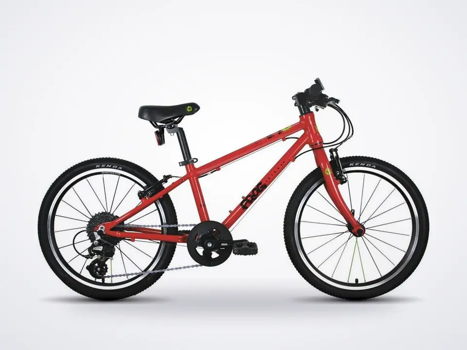Frog 53