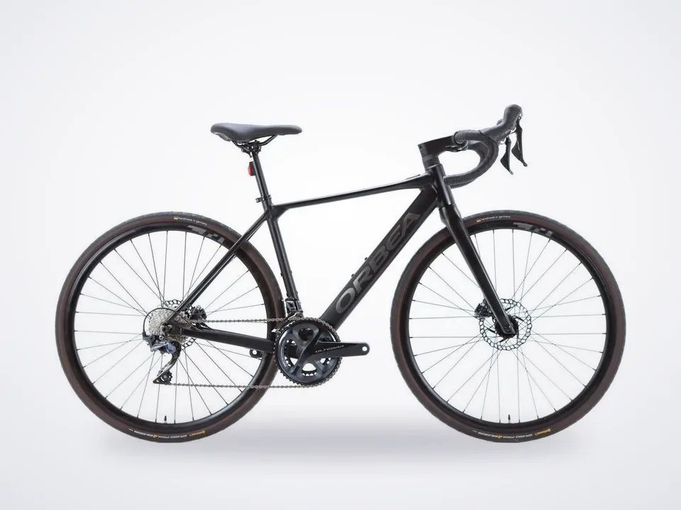 Orbea Gain D20