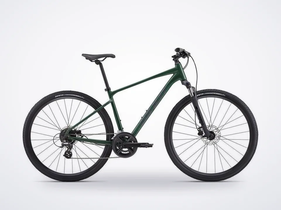 Giant Roam 3