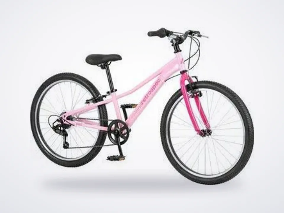 Retrospec Dart 24" Wild Berry