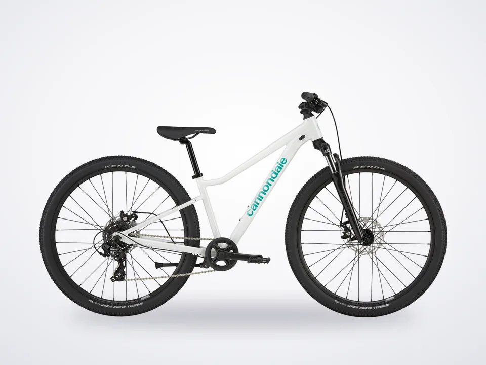 Cannondale Trail 26 C1