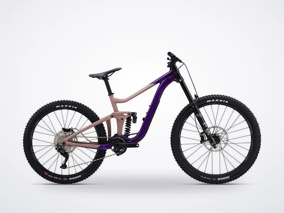 Giant Reign SX