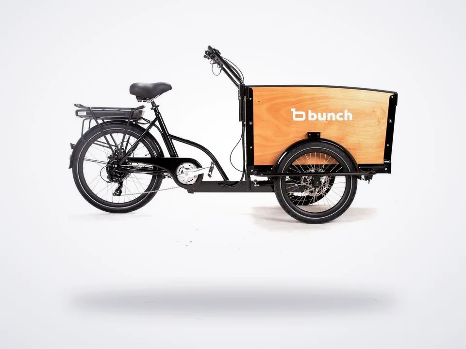 Bunch K9 4+ Electric Cargo