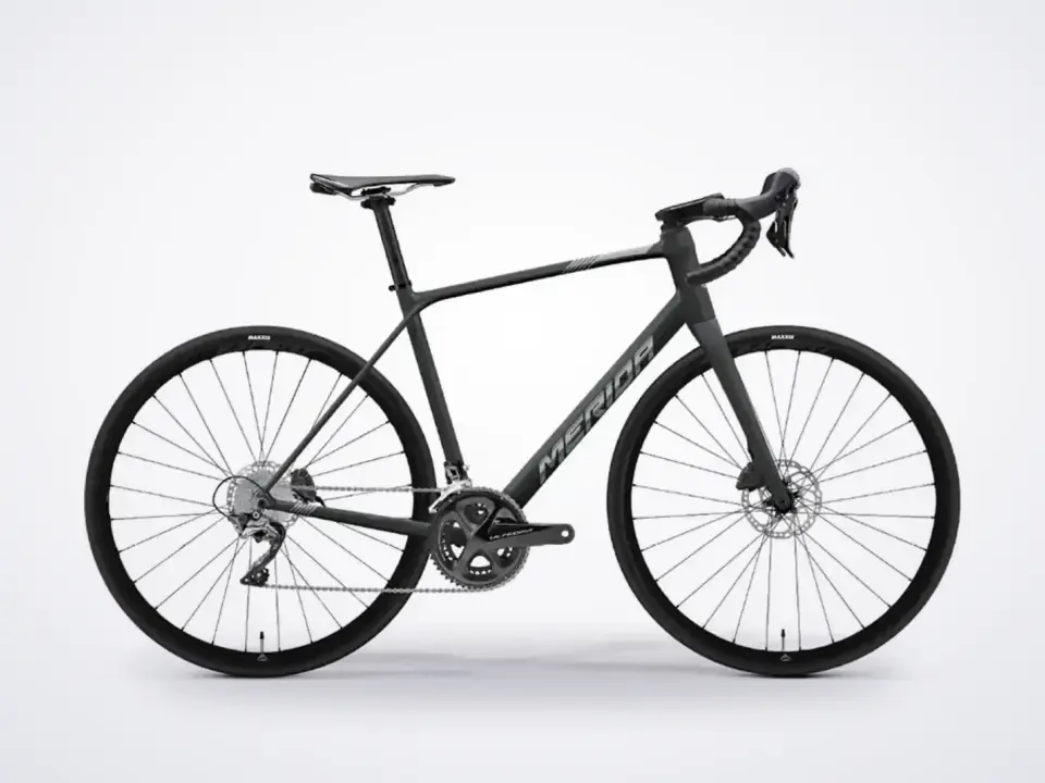 Merida Scultura Endurance 300 MY22