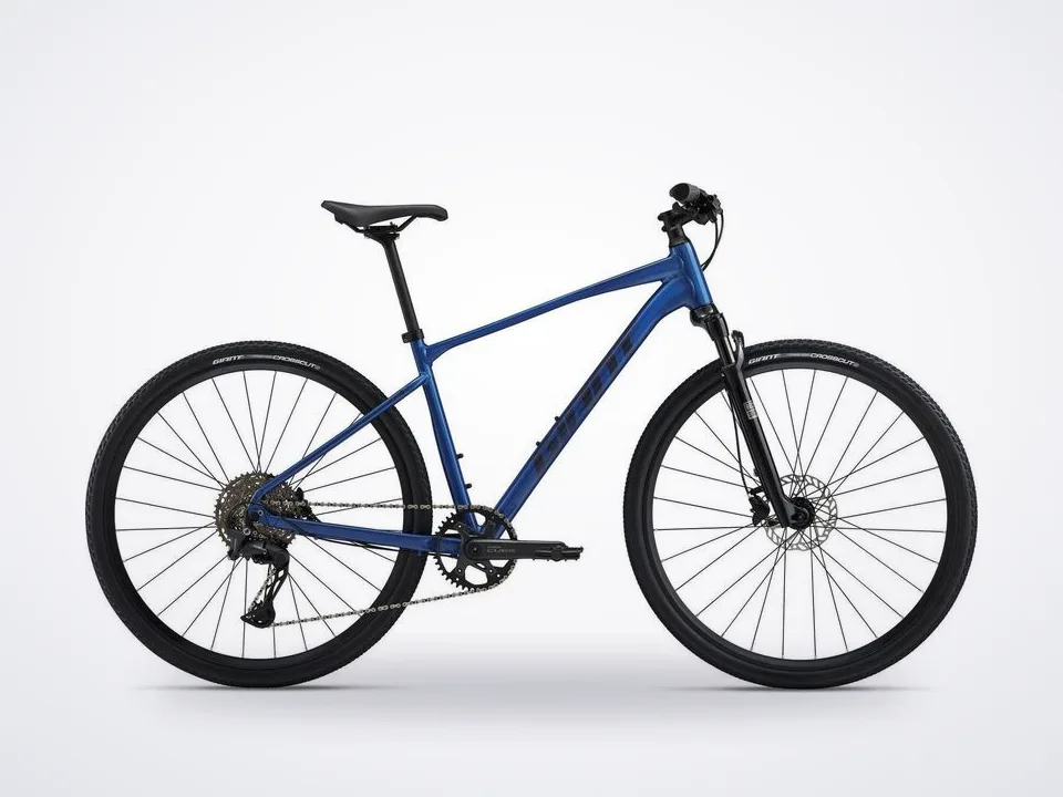 Giant Roam 1