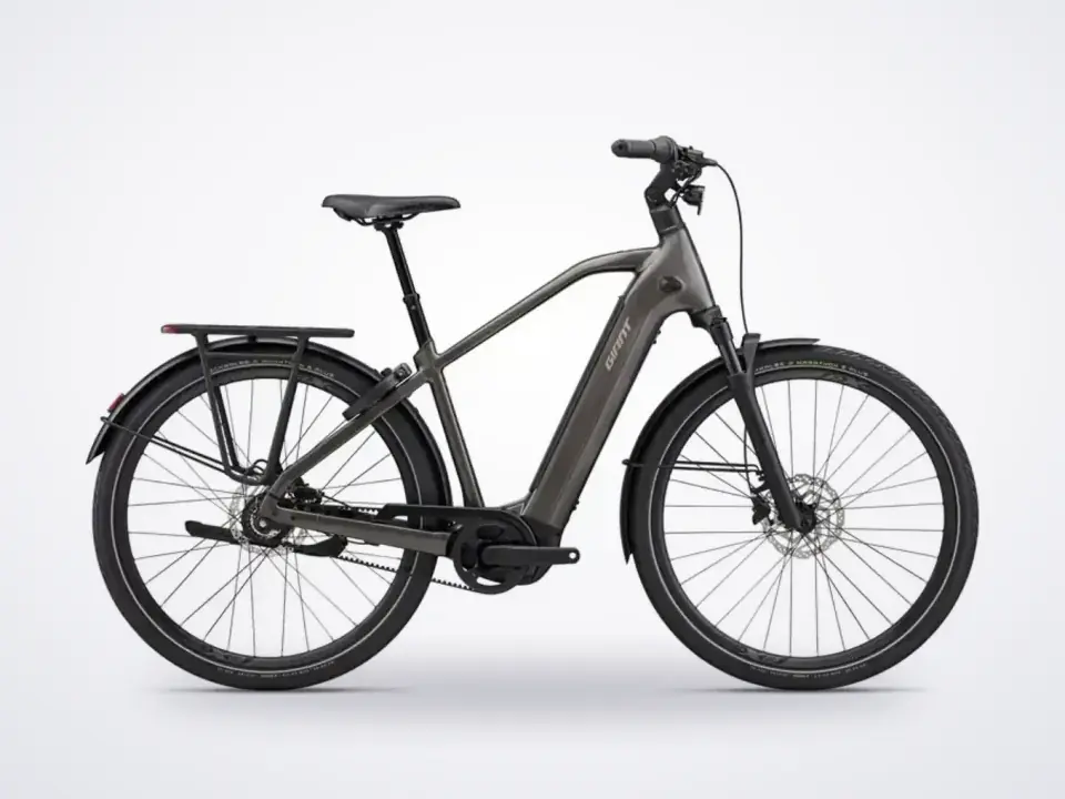 Giant AnyTour E+ 3 DD