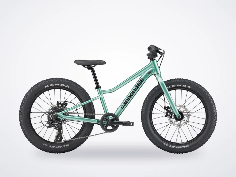Cannondale Trail Plus 20