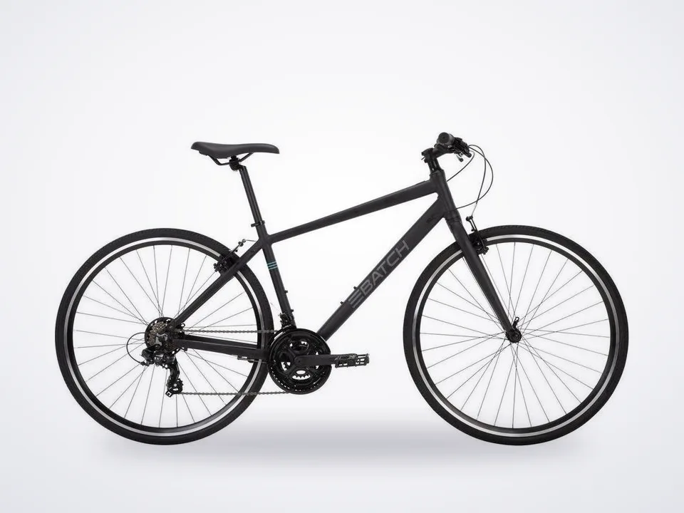 Batch The Fitness Bicycle