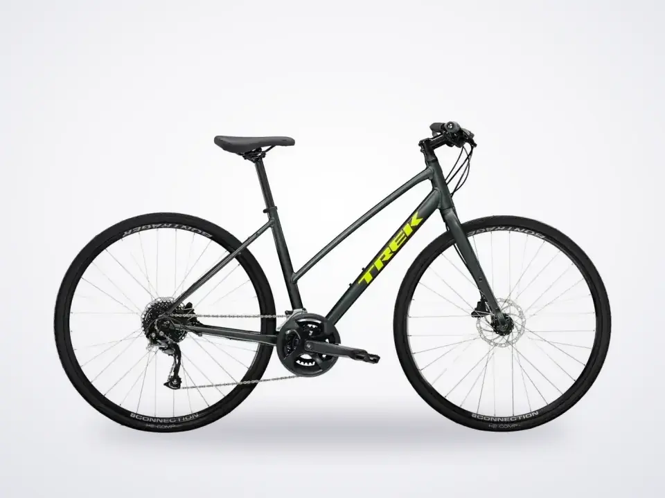 Trek FX 2 Disc Stagger Womens