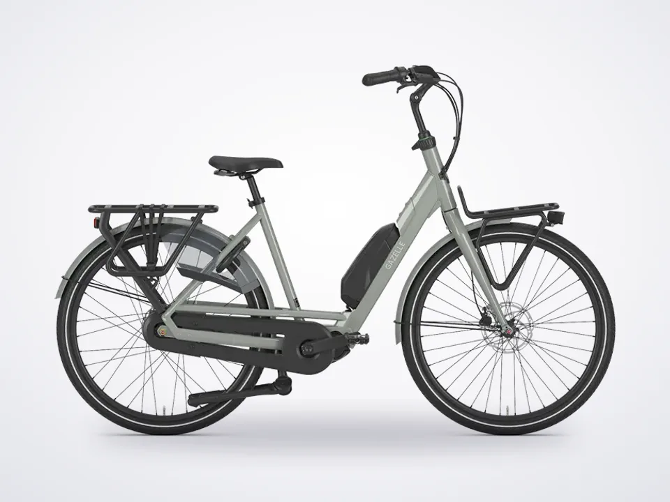 Gazelle Bloom C310