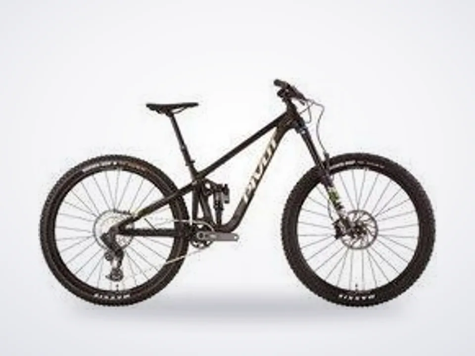 Pivot Switchblade Ride GX Eagle Transmission