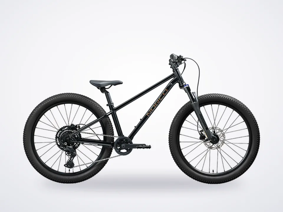 Norco Charger 24"