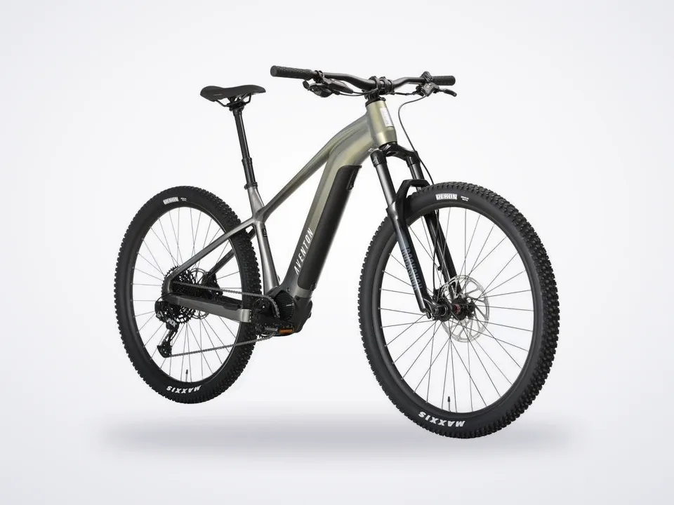 Aventon Ramblas Electric Hardtail
