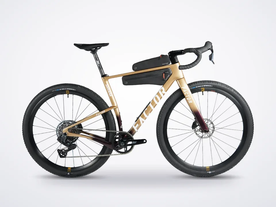 Factor Sarana Custom Rival AXS E1 Xplr