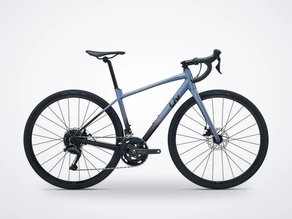 Liv Avail AR 3 Endurance