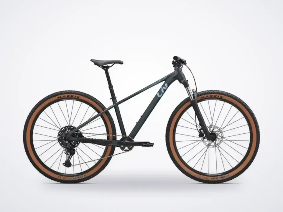 Liv Tempt 29 1