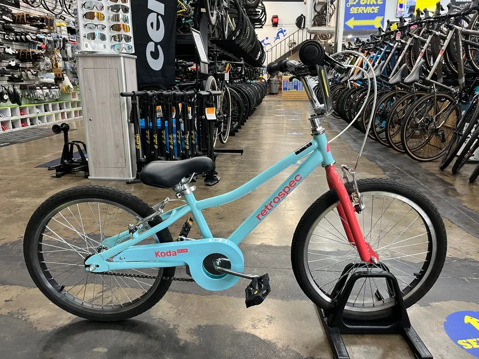 Retrospec Koda Plus 20