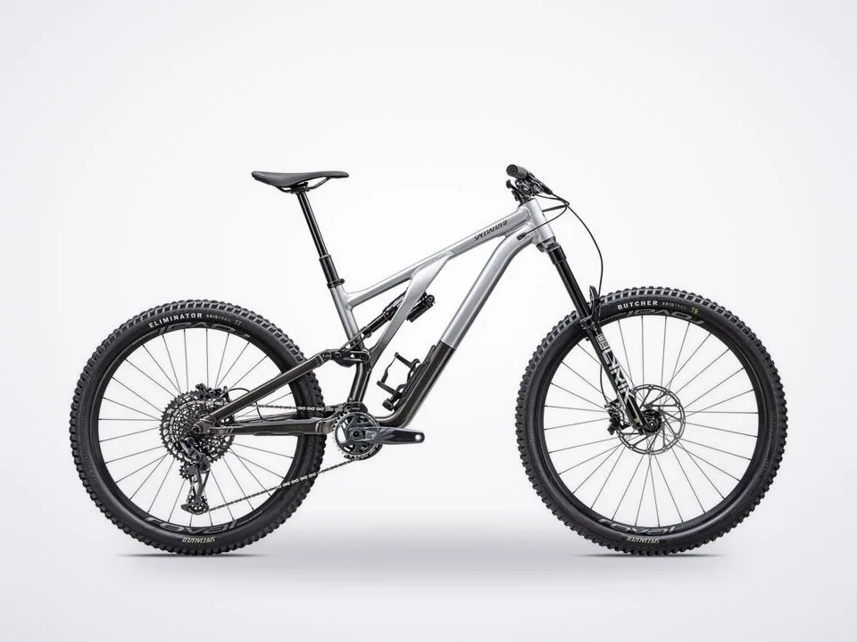 Specialized Stumpjumper EVO Elite Alloy