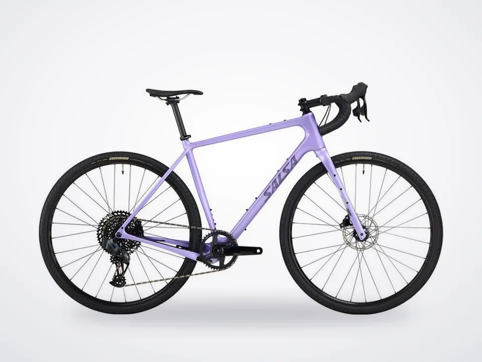 Salsa Warbird C Rival GX Eagle AXS
