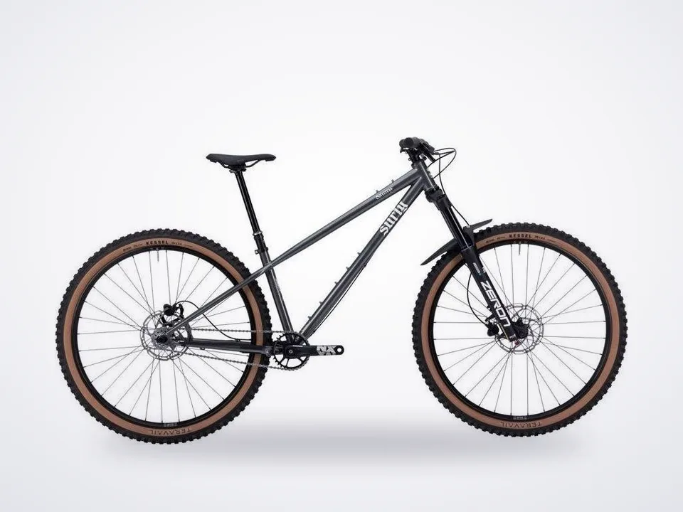 Surly Sorceress Single Speed